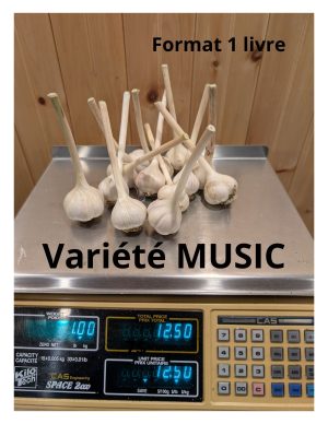 Ail du québec variété MUSIC Format 1 livre