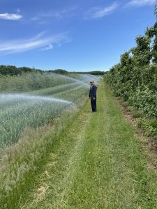 irrigation ail Québec Alex